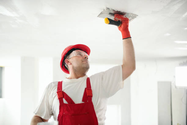 Best Mold Documentation for Insurance Claims  in Bee Cave, TX